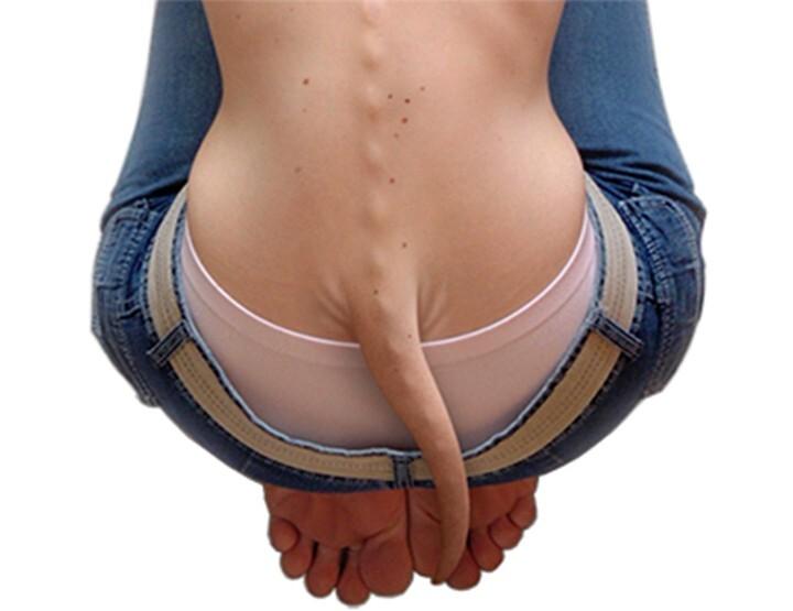 Что бы было, если бы у людей остались хвосты