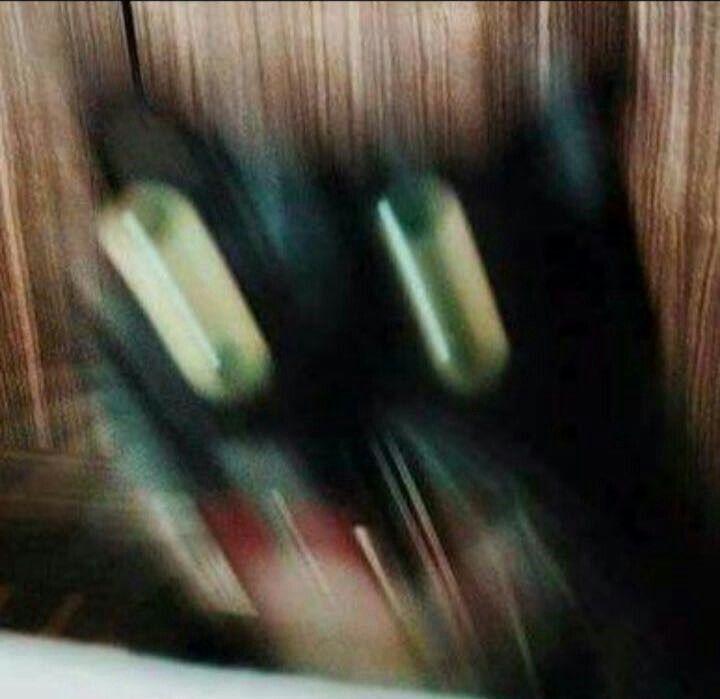 Эйнштейн был неправ. И это открытие физиков из МФТИ спасёт тысячи больных раком