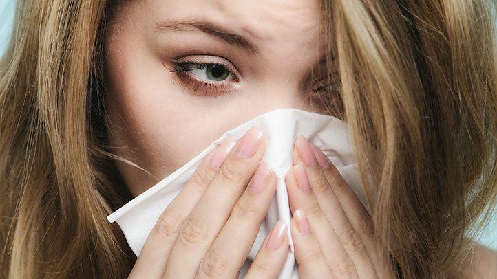 Как изменение климата повлияет на людей с аллергией