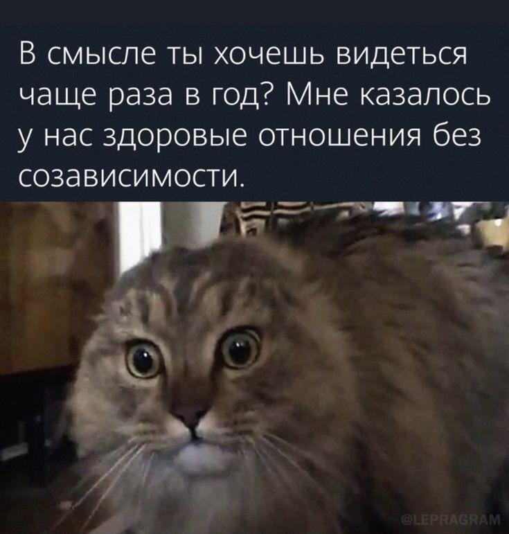 Да не слушайте вы этих токсичных газлайтеров!