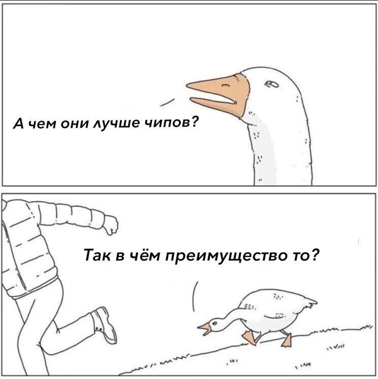 Без чипа и операции: в России сделали инвалидную коляску, слушающую мозг