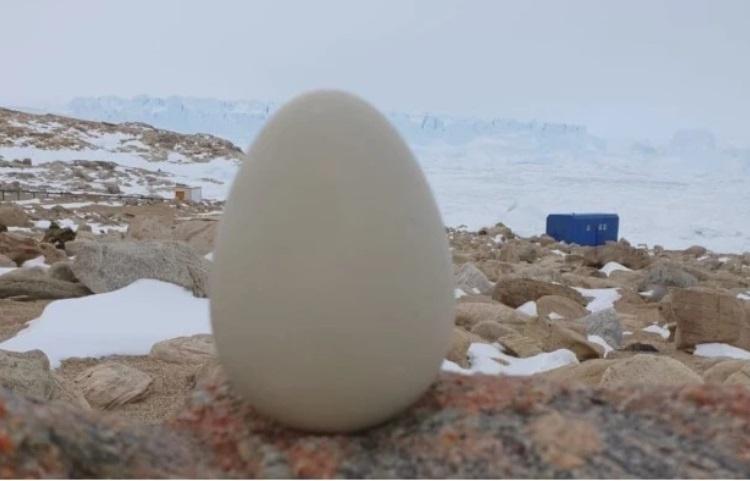 642fa840e44e4a6d42a2dad365f3ecaa4554ebe5