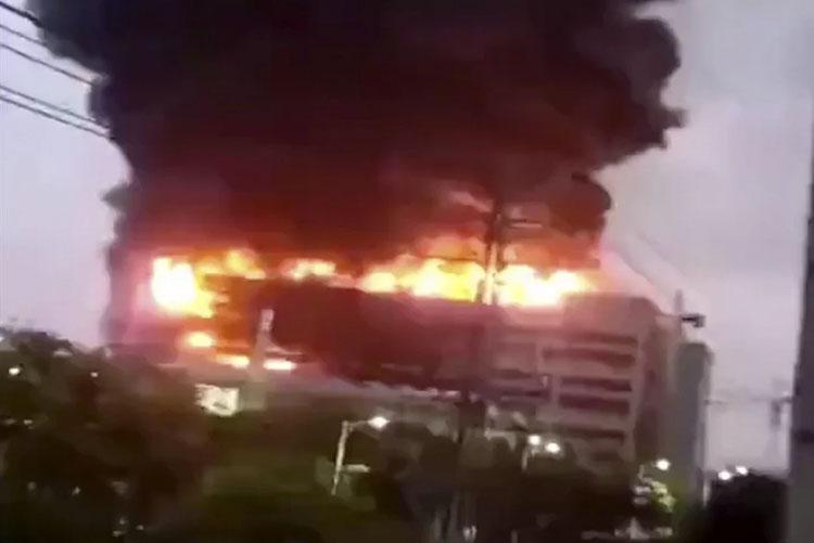 244e76c9525a04f848564533d0935d232e2938c1