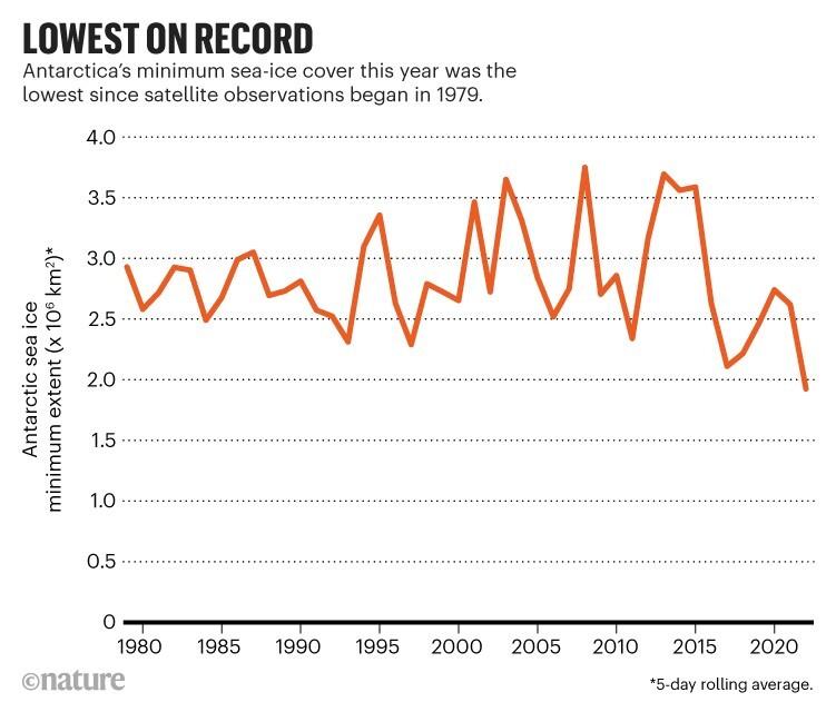 Экологи бьют тревогу: площадь льда в Антарктике достигла исторического минимума