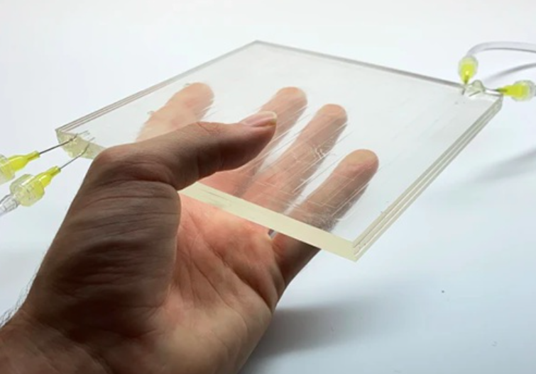 Изобретены «жидкие окна». Они позволяют регулировать количество проникающего в комнату света