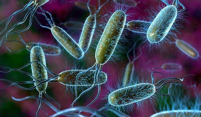 4b19c33ff1e3854b953630c6d226cdc5542caac5