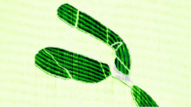 Ученые обнаружили естественное формирование квантовых структур в графене