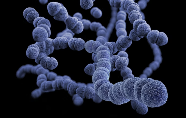 Здоровье кишечника и диабет тесно связаны: но не все так просто