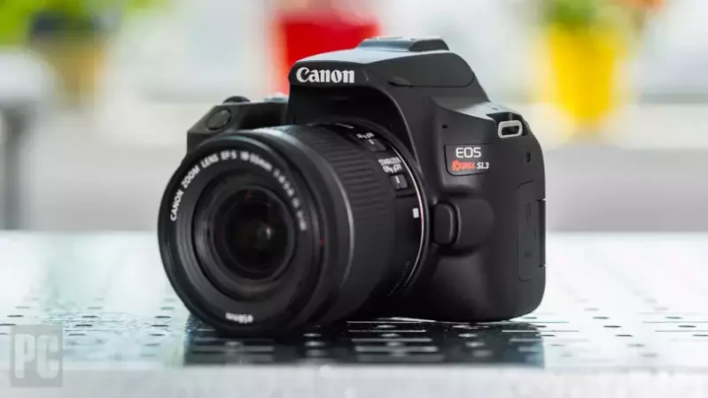 Лучшие беззеркальные и зеркальные камеры для новичков