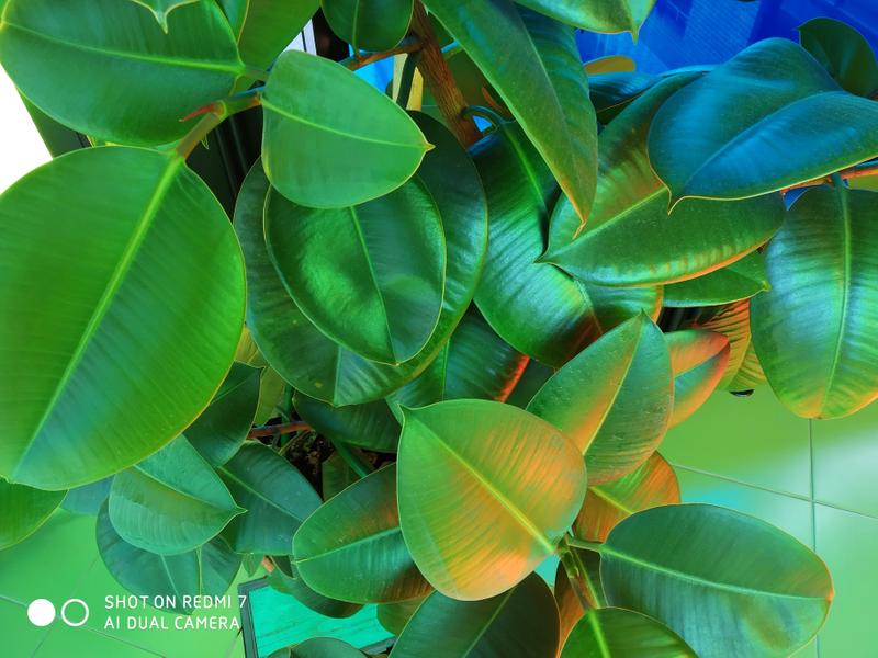 d42a67895797f3c2ac57bfa4727dc67ae58abe81