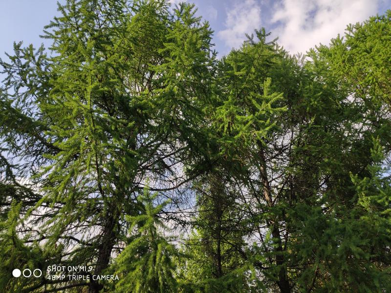 695d34caabb7d85ba5f6d20045c9097936b05586