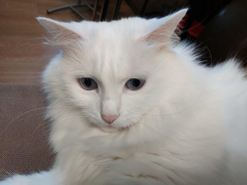 c3e2ecff0b22803edb346e5e1015a6c67d6abf8b