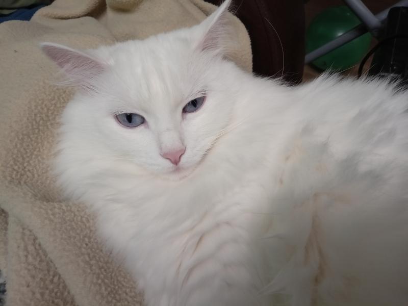 493d3e25988d64ff650441d30f47c16f5f9f7413