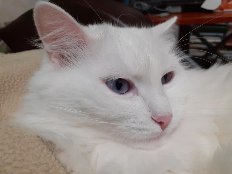 80df942cb50a5eb0d4f372a074fc97981fe1b5d1