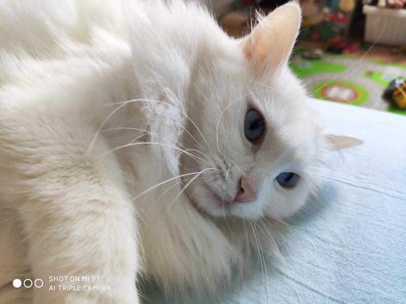 5e409441e4f7b1783588e7c85f6bdfa6ce7727da