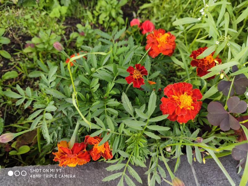 b164a8adbd24ebf958d165ec322968312d153c3c