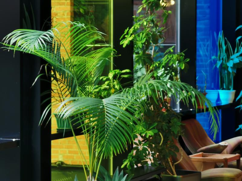 7ff99682d1a13ccbb8c3bbc40f26b5122544a515