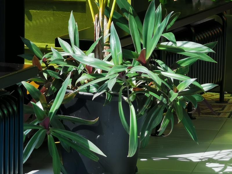 33534efffac736a1cb5a127dea125ae81cafb563