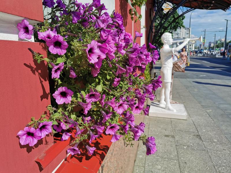 ed0987c01fb790ed7cc04971aac7683d8cd12a66