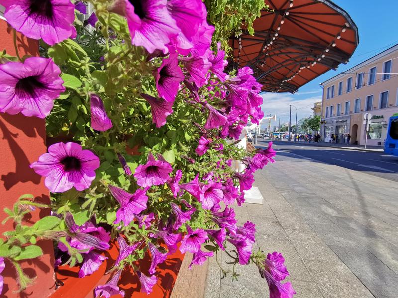 9b075d15b68195f12a0f27b64879d222dea5bedb