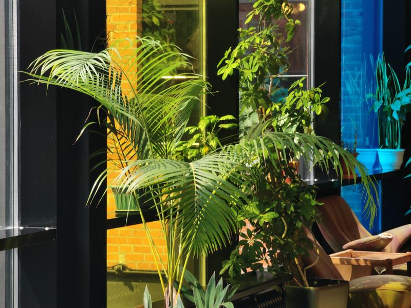 cb2832cc63ba90b20567cfae4d8d7a5778616351