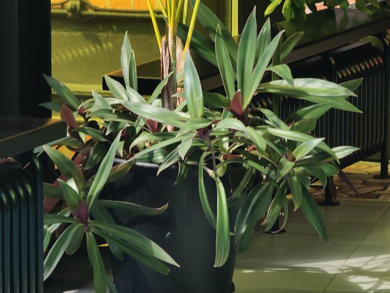 b89f460ca1a0de167d2e6b762cdb87e972a72c95