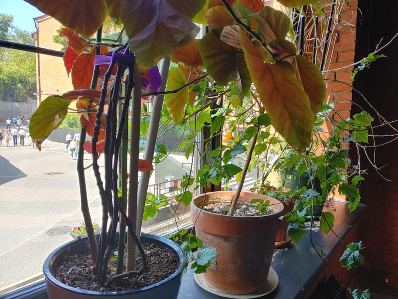 623ebe16f9c4b6f194626fb37220b9efab9991c1