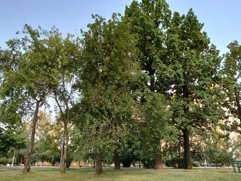 7e73dcd7c0641f2d39c563a1080b7c4eb05ce89f