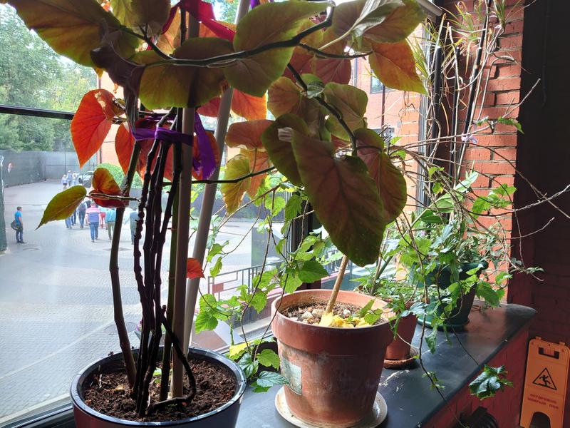 948b828bae2790f88f72fde078407e3eed00968d