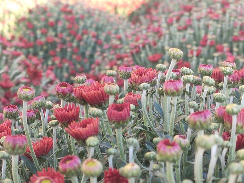 9b102d5385dcc5d409a0a7f034969b05f7763971