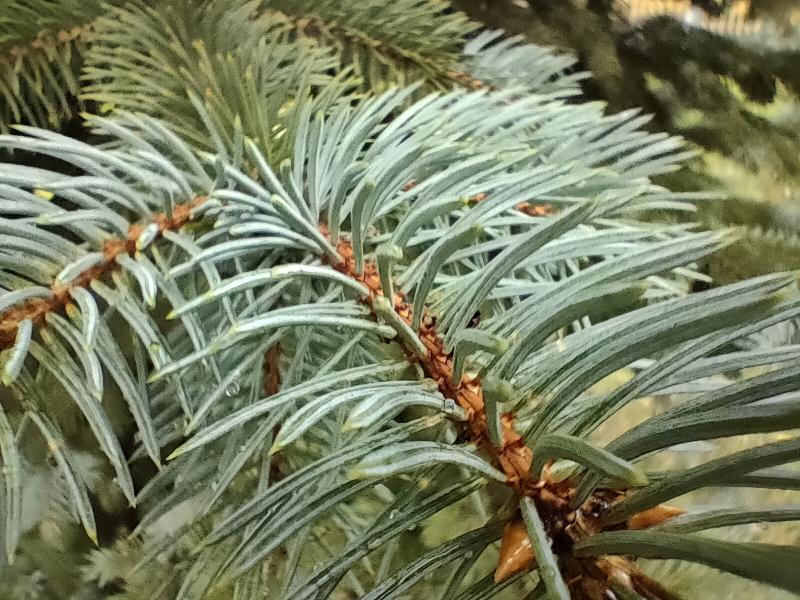 35e09992847e6cc9eea12063e265d908c897116c