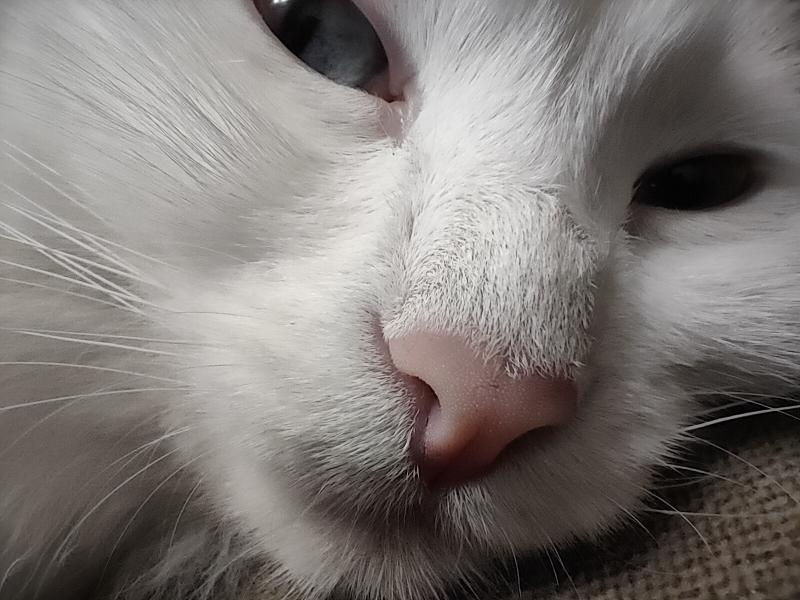 0b3a3247702b3b65787b4d9672de00dd826978ad