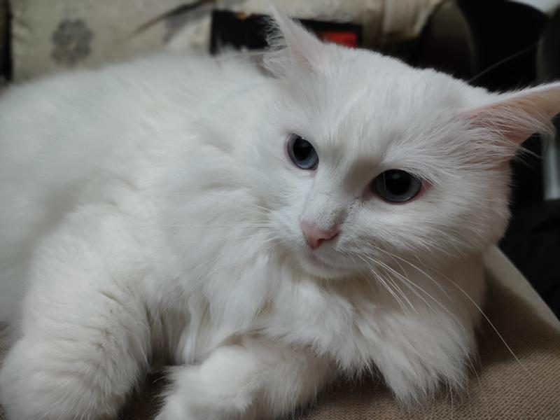 ea8192b057a3d3740137963643d0227e85690e5f