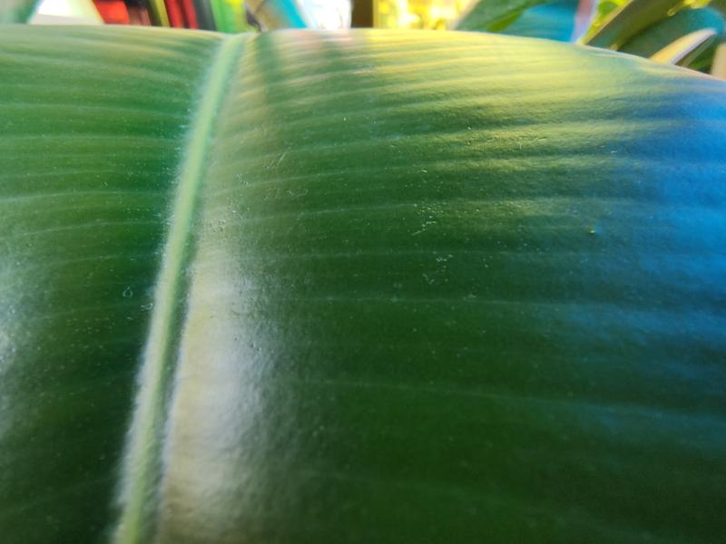 f92e9b7d230e2ef2dcc0df6967e87e18b2bb5cfc