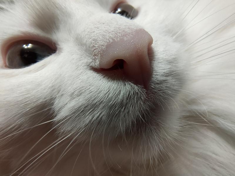 55fca1c3785186e8f315df23d5218b405f2f2c98