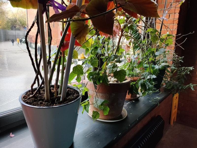 7f5287262f262aeeb013850487f9fb0b94ca411b