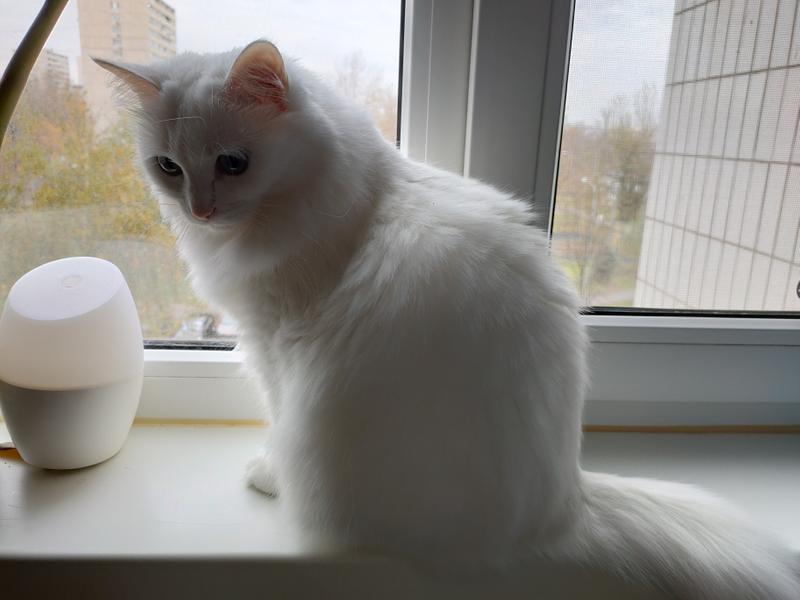 e7e8914b36fd35c3fd0329e4329fb3430527fb39