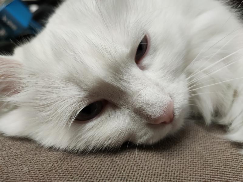 ae3eecbf96cbae87e1ce573a66a6e39d58d6b5c5