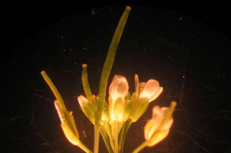 aa3c441b9916268bc8d02c17eba696fa57e1ad63