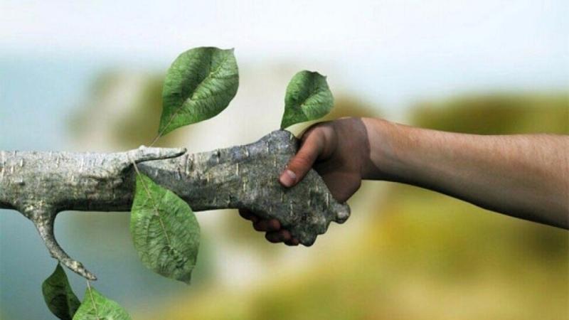 Армия США займется защитой экологии