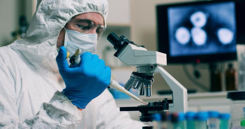 Учёные обнаружили у животных штаммы COVID-19 «Альфа» и «Гамма»