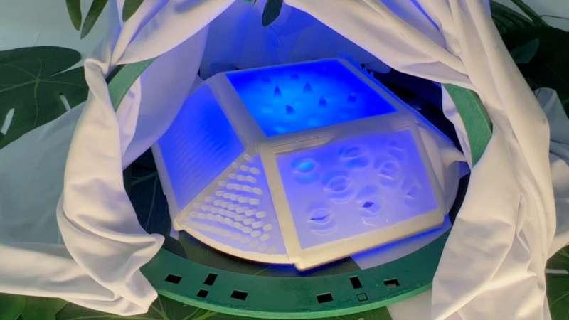 Ученые создали робота, способного содействовать инклюзии в школах