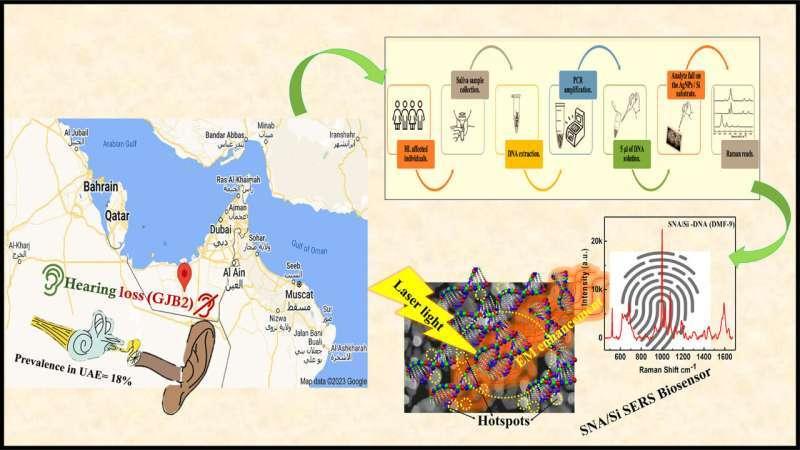 Ученые создали сенсор для выявления генов, вызывающих потерю слуха
