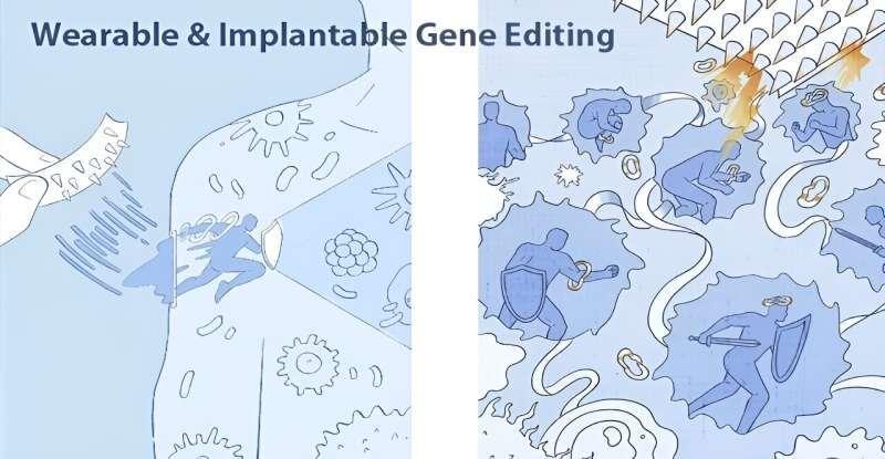 Ученые создали «умный» пластырь для безболезненной доставки лекарств