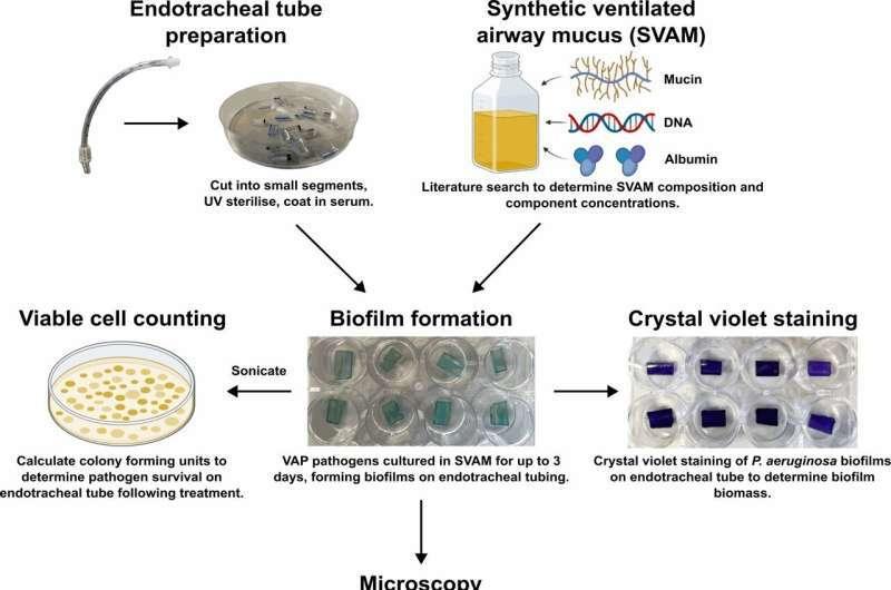 Ученые нашли способ бороться с опасной инфекцией для пациентов на ИВЛ