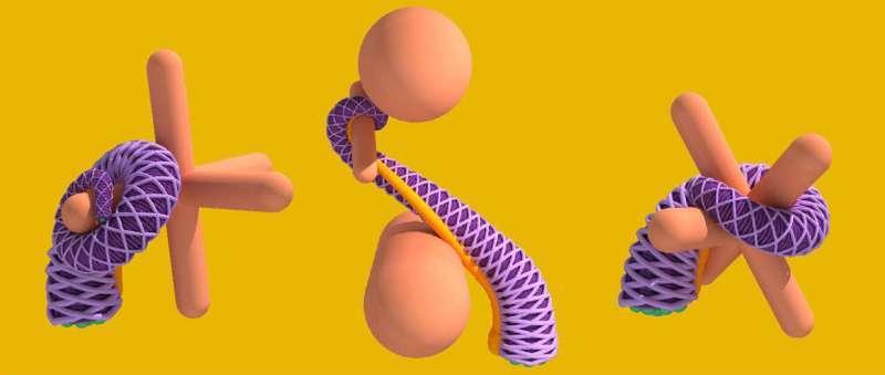 Ученые раскрыли тайну гибкости осьминожьих щупалец