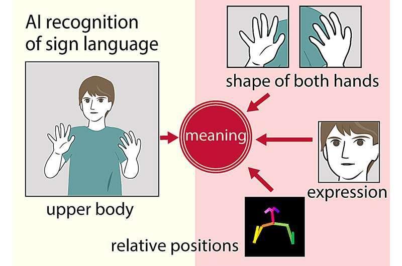 Перевод языка жестов стал лучше благодаря ИИ