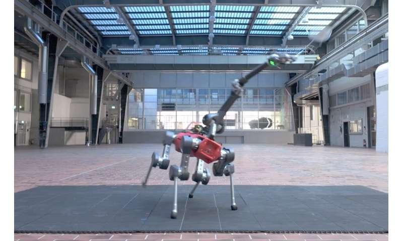Четвероногий робот научился играть в бадминтон