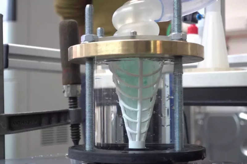 Анчоусы помогут задерживать микропластик в стиральных машинах