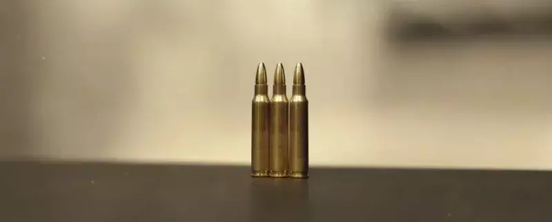 Под винтовки НАТО создали антидроновые патроны